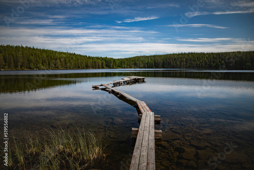 Beautiful small bridge of tree in a small lake with still water and reflection of the sky in surface