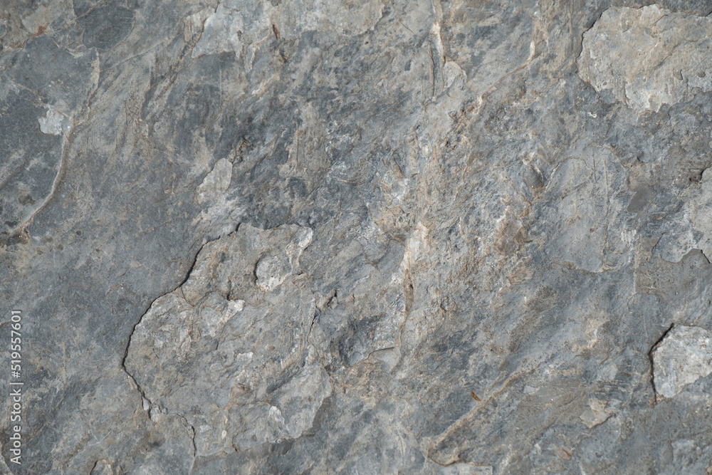 Fototapeta premium Stone background in the Garden