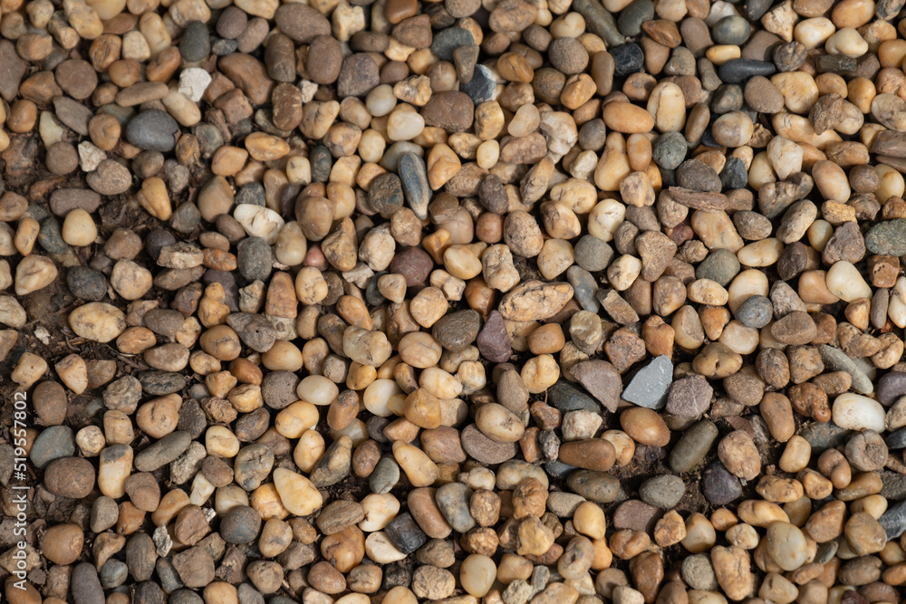 Stone background in the Garden Stone background in the Garden