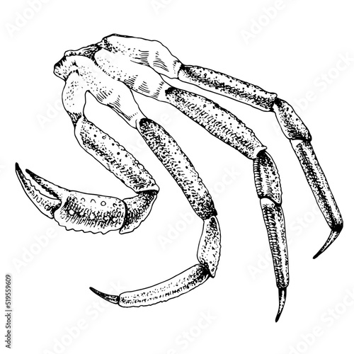 King crab legs. Sea delicacies 