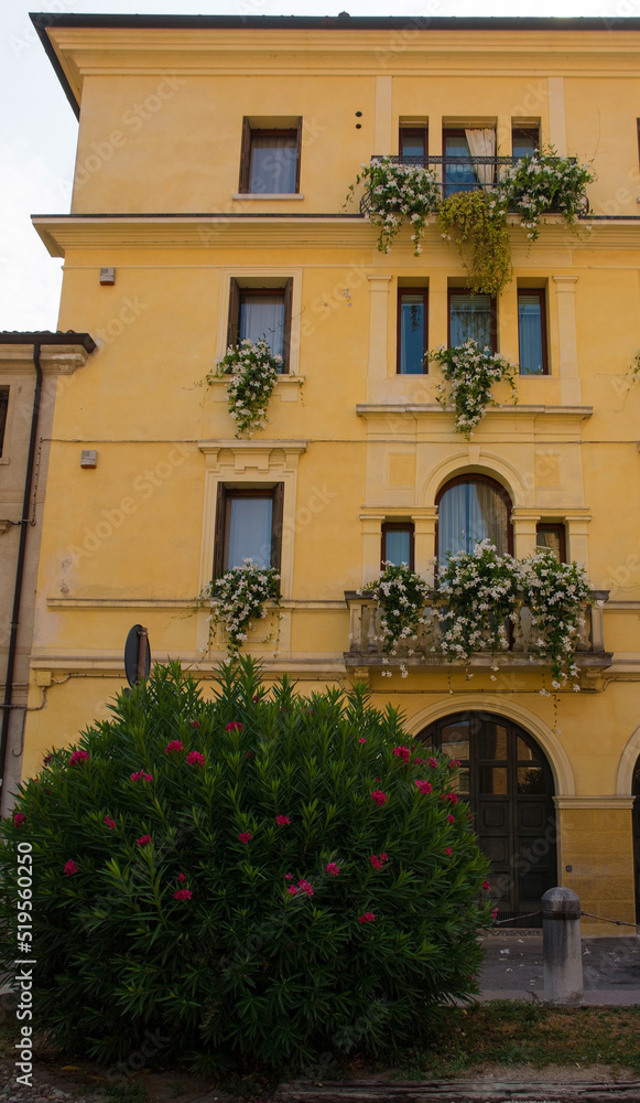 A old house with white rocktrumpet flowers on its  balconies and a deep pink oleander in front in the historic centre of Treviso, Veneto, Italy
