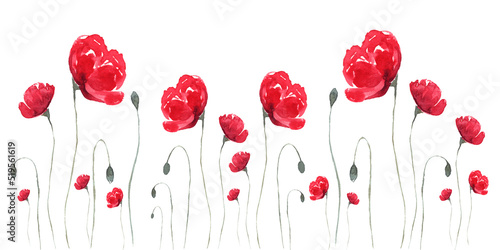 Watercolor floral composition with red poppies. Panoramic horizontal isolated illustration.