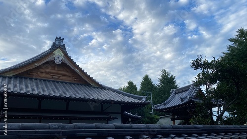 Wallpaper Mural The beautiful temple rooftop beside the Todai university at Hongo district in Bunkyo ward, Tokyo Japan year 2022 July 27th Torontodigital.ca