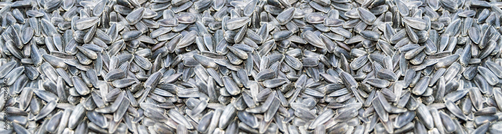 a lot of sunflower seeds. black seeds. Banner for insertion into site.