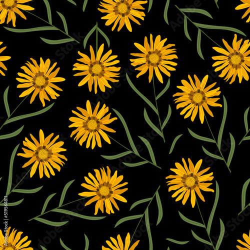 Gazania flowers with leaves on a black background. Pattern with yellow flowers. Seamless vector pattern.  © olhatszrv