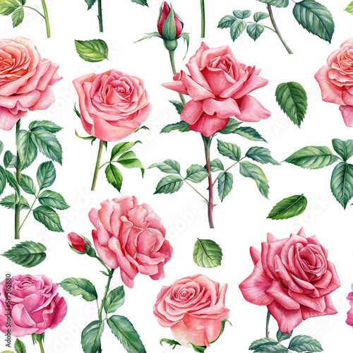 Flower seamless pattern. Roses, watercolor flora illustration © Hanna