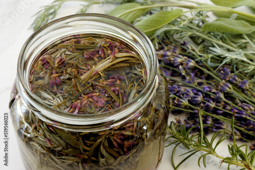 Herbs infused vinegar in open jar. Thieves vinegar, alternative medicine remedy with wormwood, sage, rosemary and lavender. Herbalism concept.