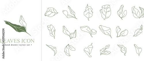 Hand drawn vector set icon collection with line leaves isolated on white background. Leaves logo.