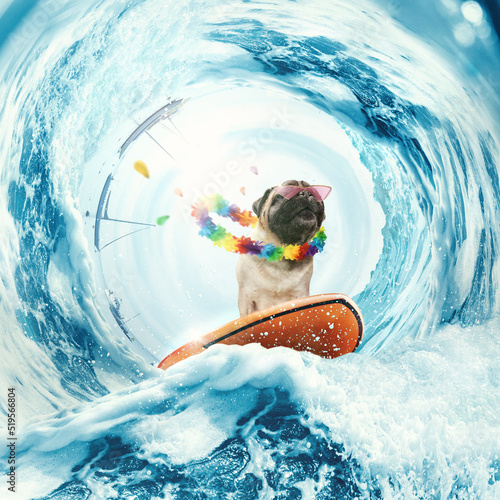 Photography Collage with happy cute pug dog surfing on huge wave in ocean or sea on summer vacation with pink sunglasses and hawaii flower chain