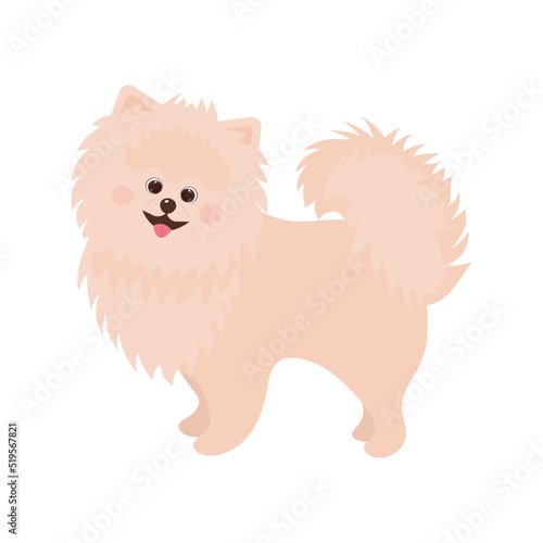 Fluffy spitz dog. Cute cartoon character. Vector illustration.