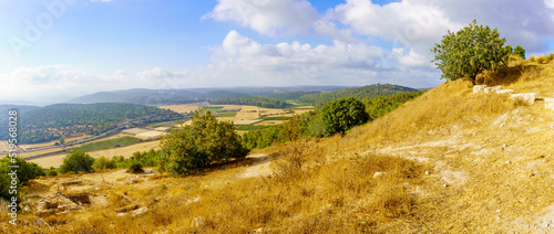 Obraz na płótnie Panorama of countryside and rolling hills in the Shephelah region w salonie