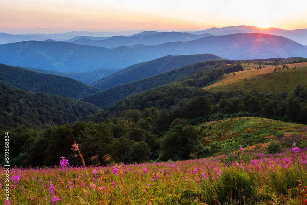 A wonderful view of the mountain slopes illuminated by the setting sun. Eastern Carpathians, Ukraine.