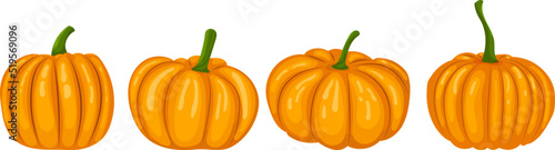 pumpkins in flat style, isolated, vector