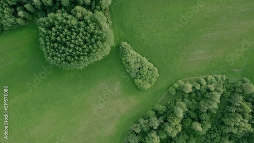 Aerial view of the forest and field.
