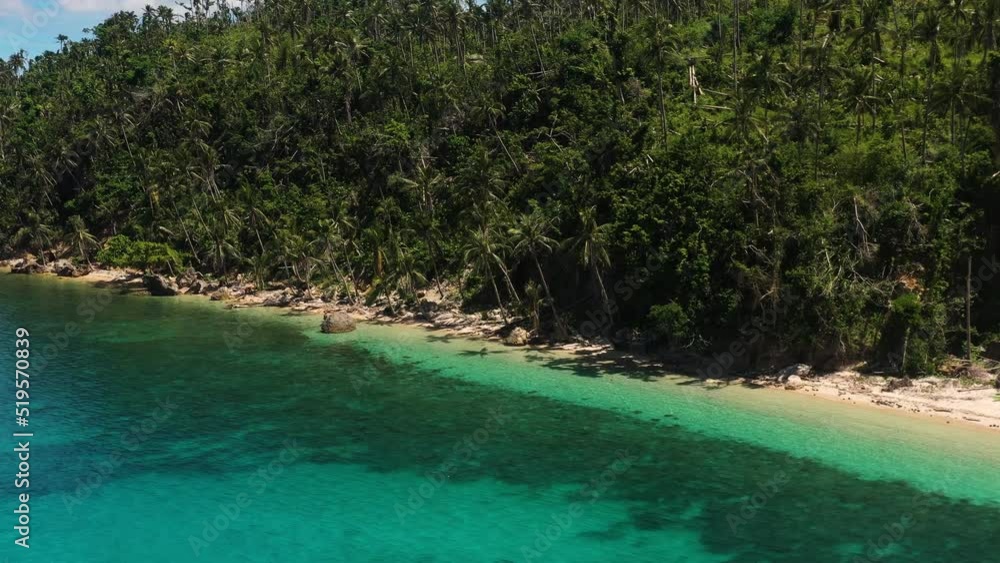 Coconut Trees Along The Coastline Of Island During Summer In The Philippines. - aerial Coconut Trees Along The Coastline Of Island During Summer In The Philippines. - aerial