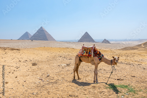 Giza, Egypt; August 19, 2022 - A view of the pyramids at Giza, Egypt