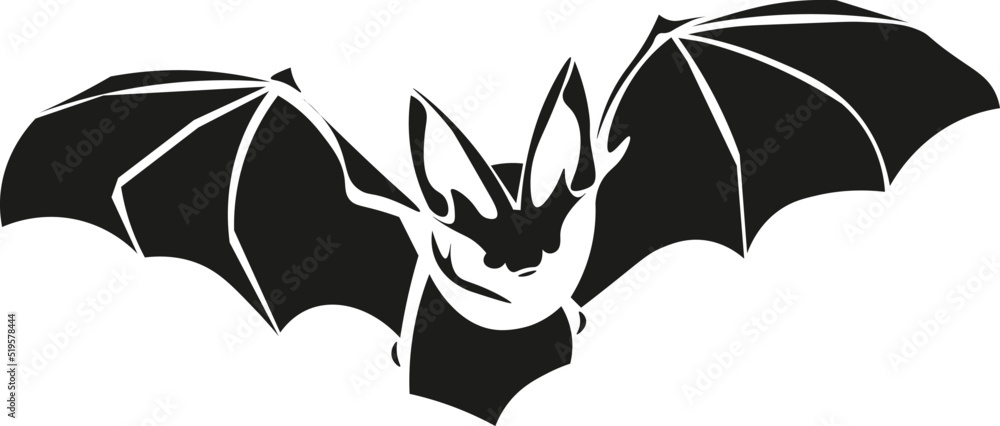 Black and White Cartoon Illustration Vector of a Flying Bat Stock ...