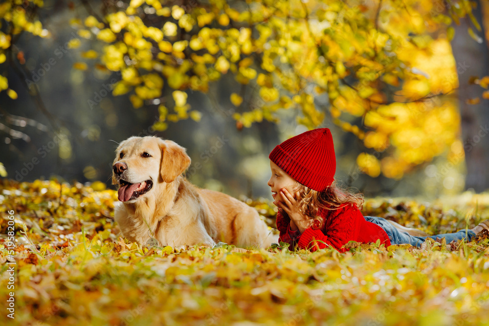 A child and a dog lie together on autumn leaves and look ahead. Warm colors of autumn in the park.