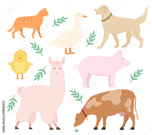 Collection of animals. Cute vector illustration