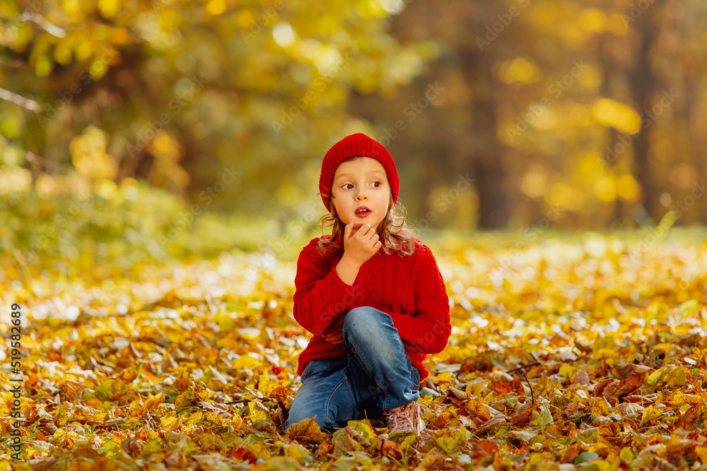 Friendly relationship between child and dog. Warm colors of autumn in the park. Friendly relationship between child and dog. Warm colors of autumn in the park.