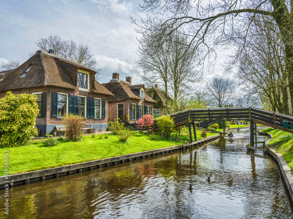 Ducks and kayaks on t he canal in Giethoorn village, Netherlands Ducks and kayaks on t he canal in Giethoorn village, Netherlands
