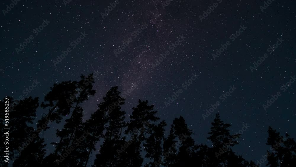 Timelapse of The Milky Way galaxy moves above the silhouettes of trees Timelapse of The Milky Way galaxy moves above the silhouettes of trees