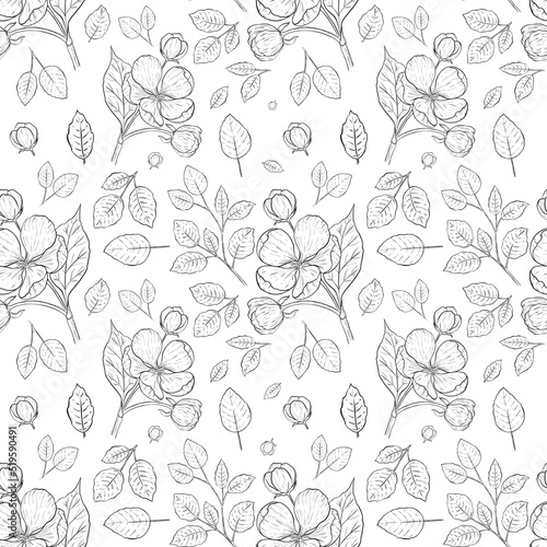 Seamless pattern with apple blossom flowers
