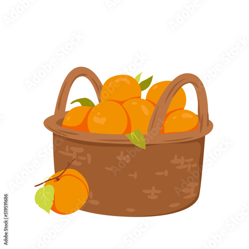 Apricot basket vector illustration. Cartoon isolated wicker box for apricot or peach harvest storage, wattled container with handles with vitamin product, healthy juicy fruit for store, farm market