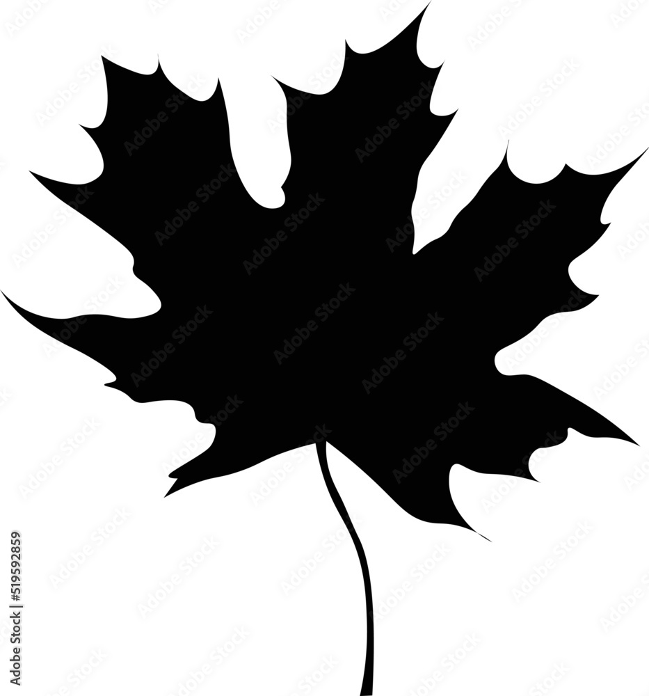 Black and White Cartoon Illustration Vector of a Maple Leaf Black and White Cartoon Illustration Vector of a Maple Leaf