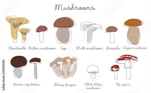 Mushrooms drawn in one line with colored elements. Set of mushrooms . Vector illustration