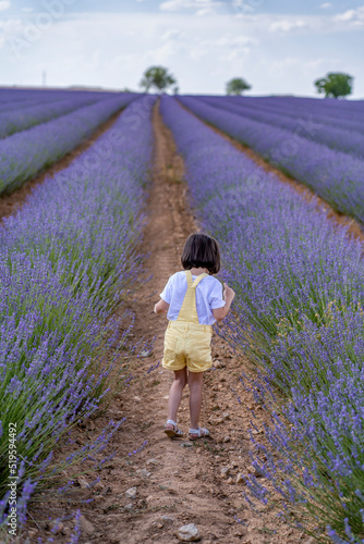 Lavender field. © DoloresGiraldez
