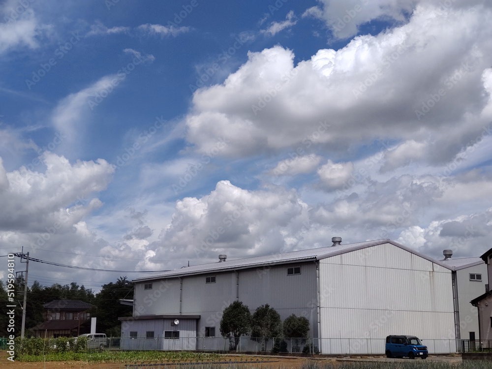 夏雲 Summer clouds 夏雲 Summer clouds