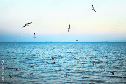 seagulls fly's by the sea. ships in the background