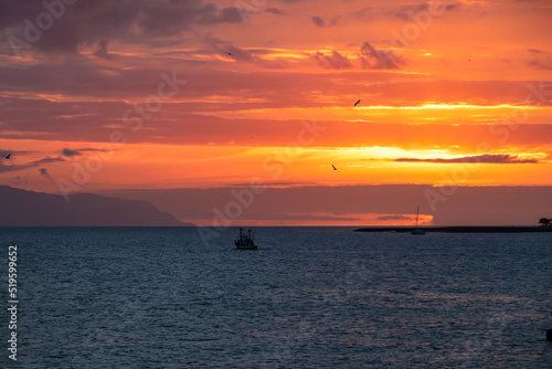 Romantic sunset seen from lookout Cypelek Los Cristianos, Tenerife, Canary Islands, Spain, Europe. Silhouette of birds entering frame. Fishermen boat on the way to Island of La Gomera in the distance © Chris