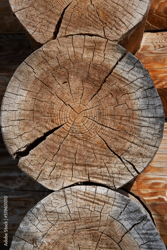 Round ends of wooden logs