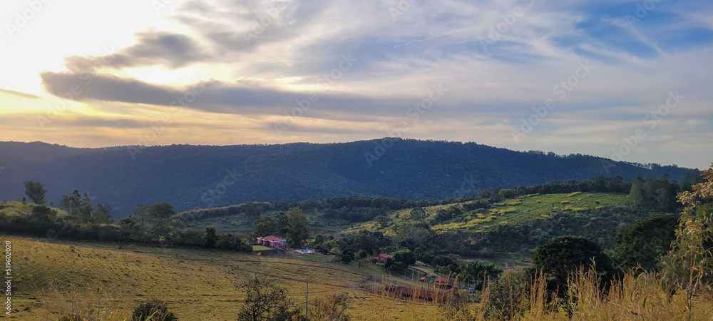 Obraz premium rural nature landscape in the interior of Brazil in a eucalyptus farm in the middle of nature