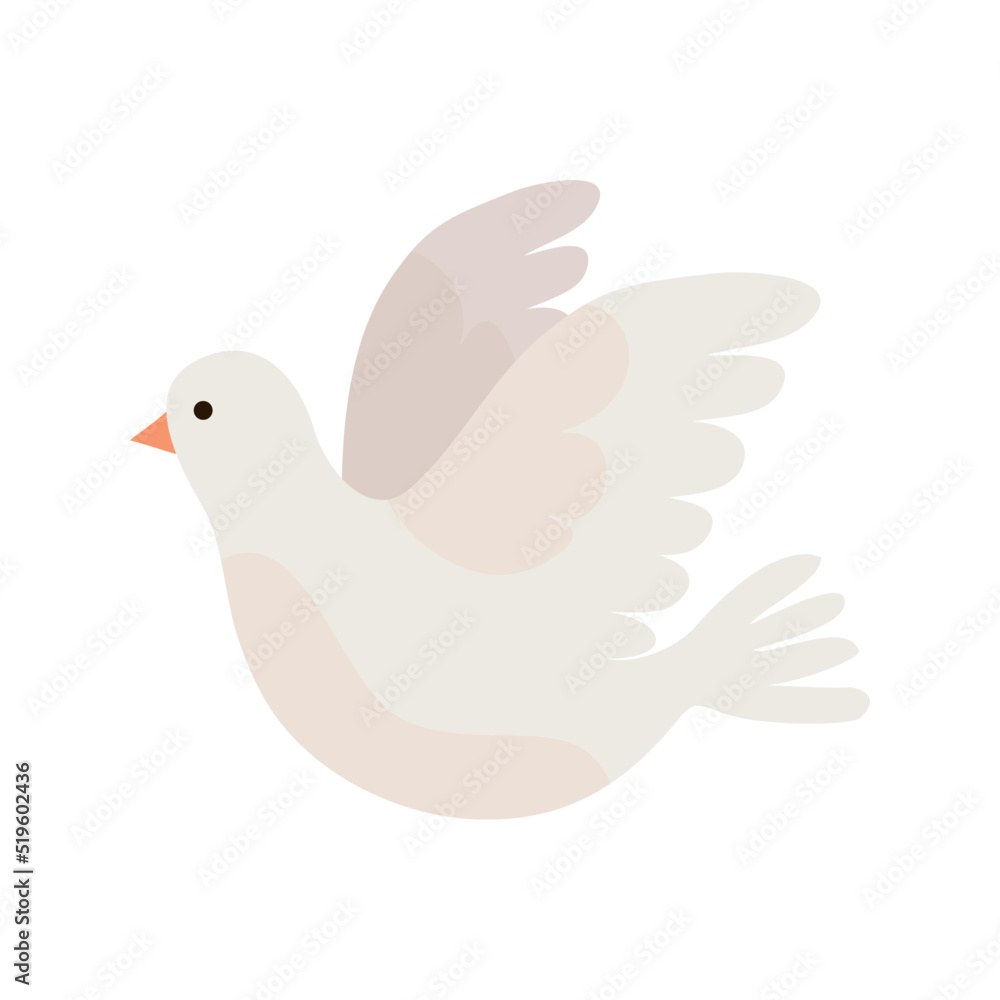 Fototapeta premium white dove flying