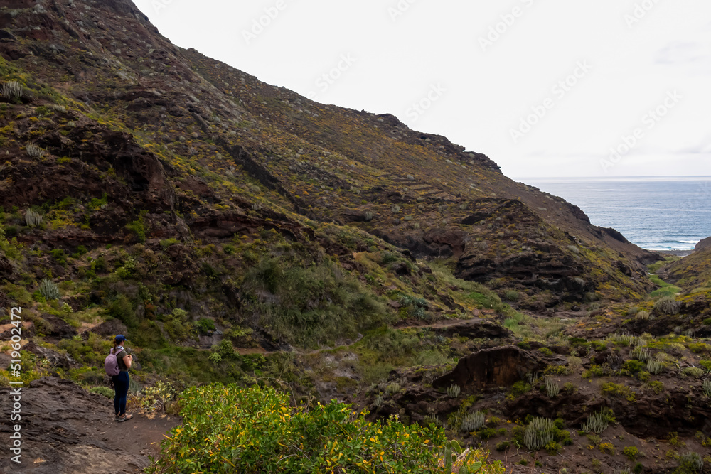 Obraz premium Woman walking on panoramic hiking trail through canyon Barranco de Afur Roque Paez in the Anaga mountain range, Tenerife, Canary Islands, Spain, Europe. Scenic hiking trail from Afur to Taganan