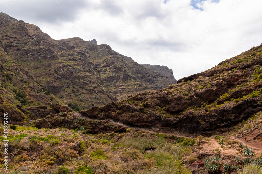 Valley in the Anaga mountain range leading to the beach Playa del Tamadite, Tenerife, Canary Islands, Spain, Europe. Scenic hiking trail from Afur to Taganana through canyon Barranco de Afur Valley in the Anaga mountain range leading to the beach Playa del Tamadite, Tenerife, Canary Islands, Spain, Europe. Scenic hiking trail from Afur to Taganana through canyon Barranco de Afur