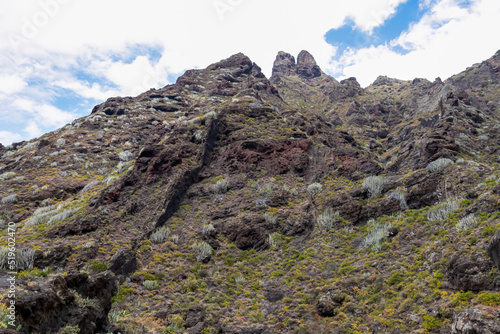 Panoramic view on El Dedo del Roque Pai crag, Roque Paez in the Anaga mountain range, Tenerife, Canary Islands, Spain, Europe. Scenic hiking trail from Afur to Taganana through canyon Barranco de Afur photo