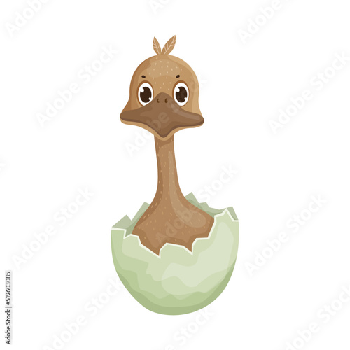 Ostrich in eggshell. Colorful children's illustration.