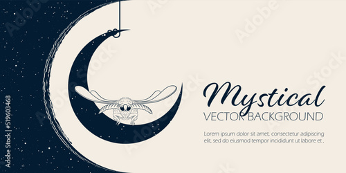 Fotografie, Obraz Mysterious banner with moth and moon