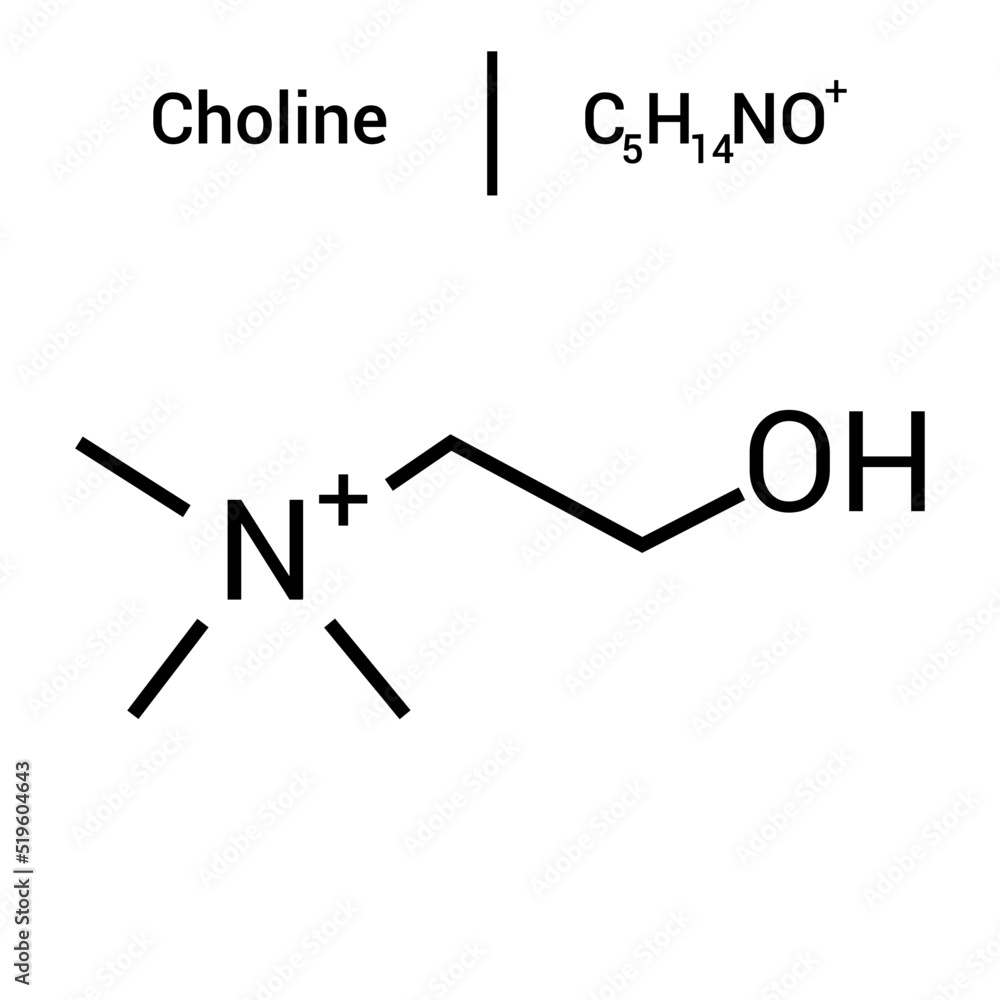 chemical structure of Choline (C5H14NO+) chemical structure of Choline (C5H14NO+)