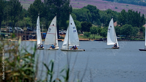 Sailboats on Rietvlei Dam, in Rietvlei Nature Reserve, in Pretoria, South Africa photo