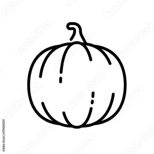 Pumpkin icon vector illustration in outline style. Vegetable sign