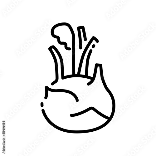 Kohlrabi icon vector illustration in outline style. Vegetable sign