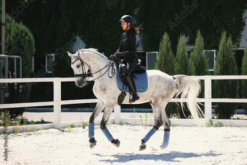 Equestrian sport Fototapet