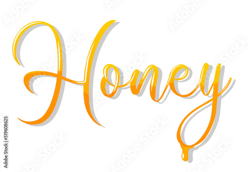 Vector label for bee honey. Honeycombs with honey, and a symbolic simplified image of a bee as a design element. Organic and eco honey labels and tags with bees.
