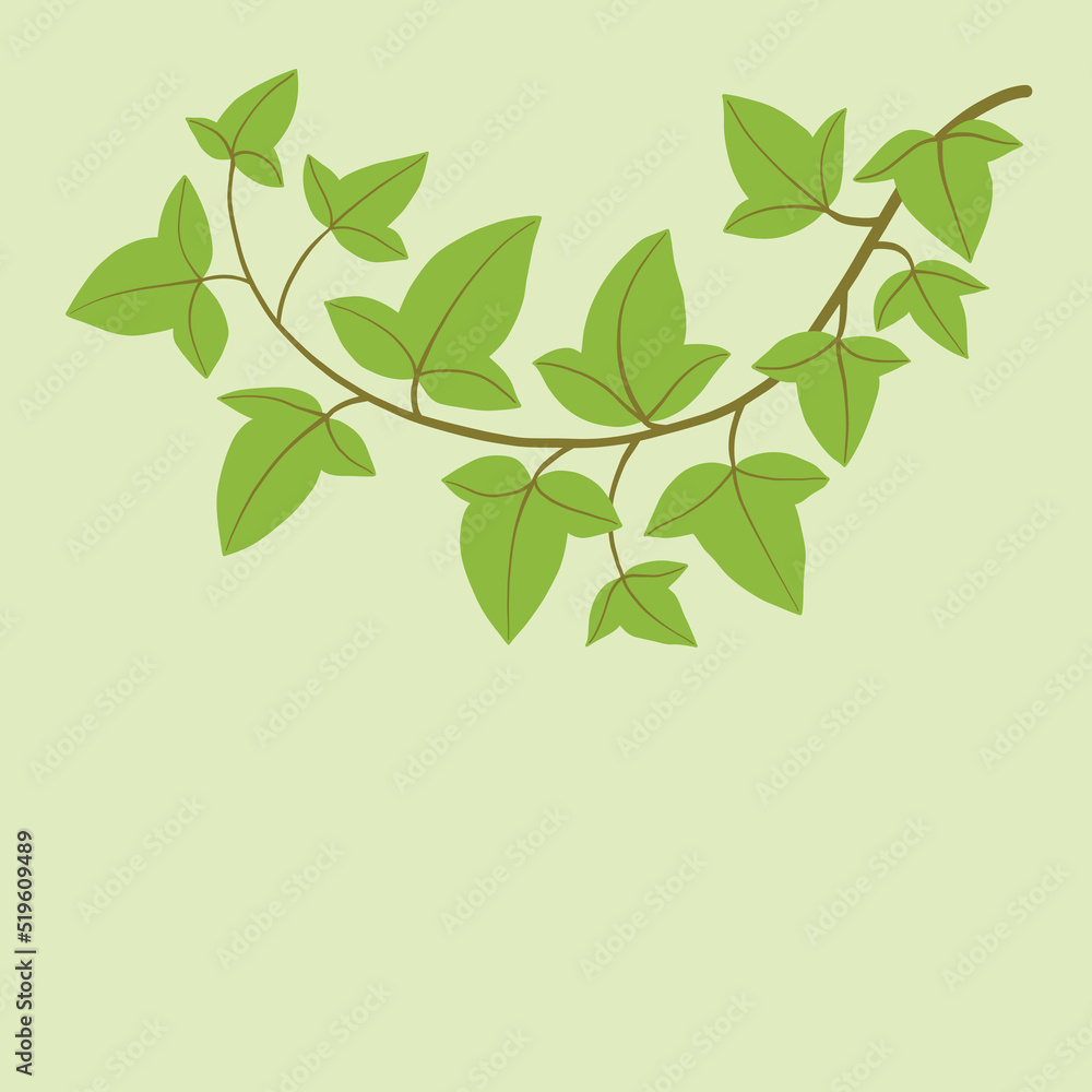 Simplicity ivy freehand drawing flat design. Simplicity ivy freehand drawing flat design.