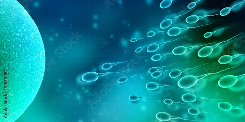 Photos 3d illustration showing sperms and egg